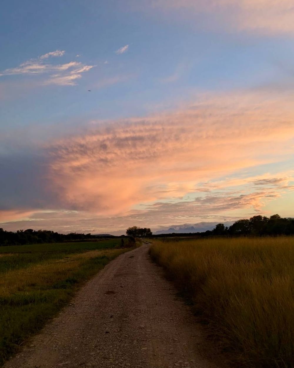 Camino de tierra entre campos al atardecer