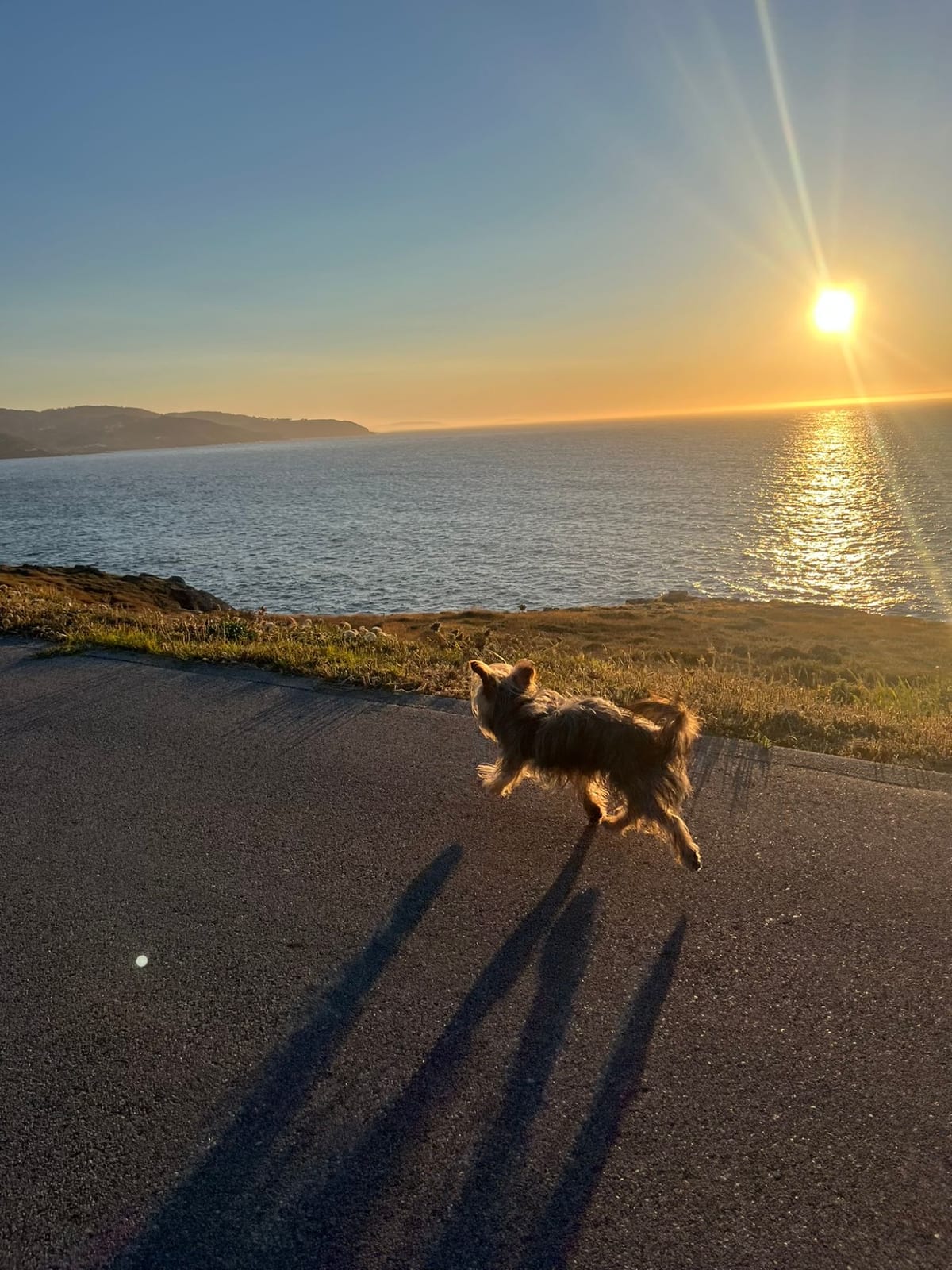 Paseo al atardecer junto al mar